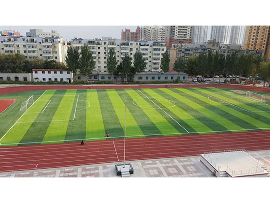 三十五中人造草坪足球场